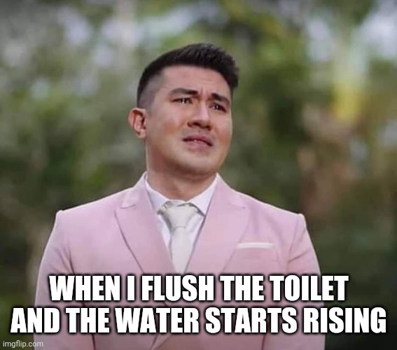 Toilet Crying Luis | WHEN I FLUSH THE TOILET AND THE WATER STARTS RISING | image tagged in crying | made w/ Imgflip meme maker