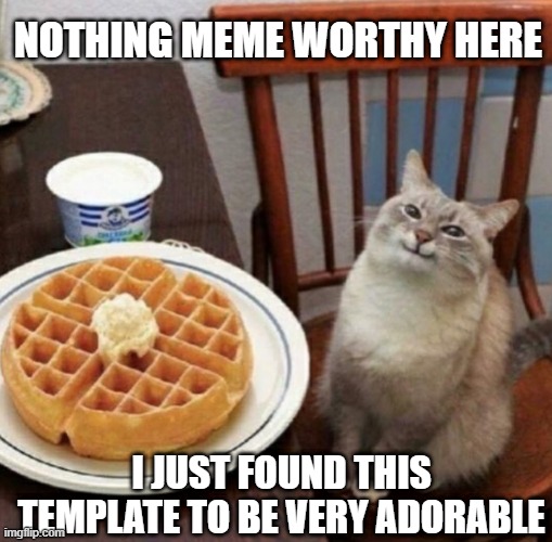 Cat likes their waffle | NOTHING MEME WORTHY HERE; I JUST FOUND THIS TEMPLATE TO BE VERY ADORABLE | image tagged in cat likes their waffle | made w/ Imgflip meme maker
