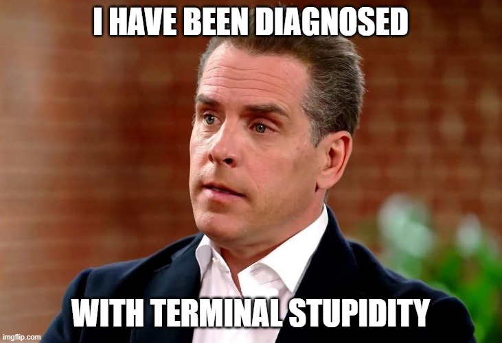 Joe Biden and Hunter | I HAVE BEEN DIAGNOSED; WITH TERMINAL STUPIDITY | image tagged in hunter biden | made w/ Imgflip meme maker