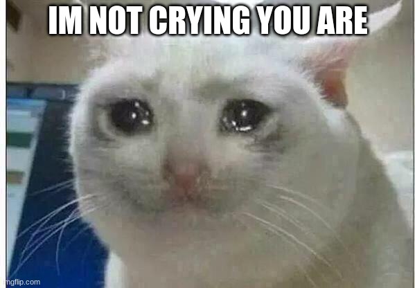 crying cat | IM NOT CRYING YOU ARE | image tagged in crying cat | made w/ Imgflip meme maker