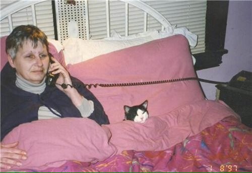 High Quality Cat Lady on the phone Blank Meme Template