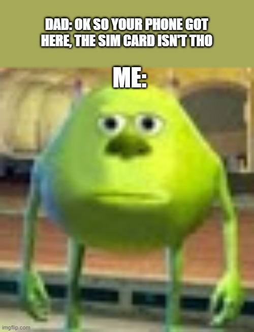 hate when it happens | DAD: OK SO YOUR PHONE GOT HERE, THE SIM CARD ISN'T THO; ME: | image tagged in sully wazowski,inconvenience,so true memes | made w/ Imgflip meme maker