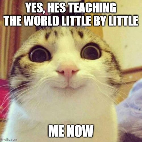 Smiling Cat Meme | YES, HES TEACHING THE WORLD LITTLE BY LITTLE ME NOW | image tagged in memes,smiling cat | made w/ Imgflip meme maker