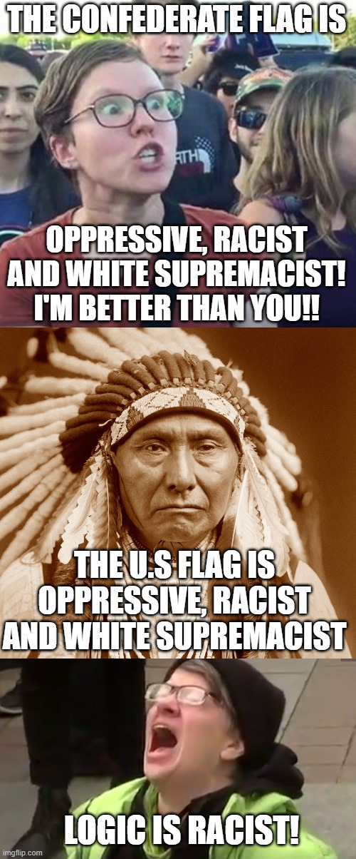 Leftist Saints Learning Logic | THE CONFEDERATE FLAG IS; OPPRESSIVE, RACIST AND WHITE SUPREMACIST! I'M BETTER THAN YOU!! THE U.S FLAG IS OPPRESSIVE, RACIST AND WHITE SUPREMACIST; LOGIC IS RACIST! | image tagged in trigger a leftist,native americans day,triggered leftist,political humor,political correctness | made w/ Imgflip meme maker