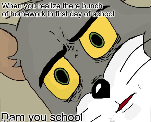 School | When you realize there bunch of homework in first day of school; Dam you school | image tagged in memes,unsettled tom,homework,school meme | made w/ Imgflip meme maker