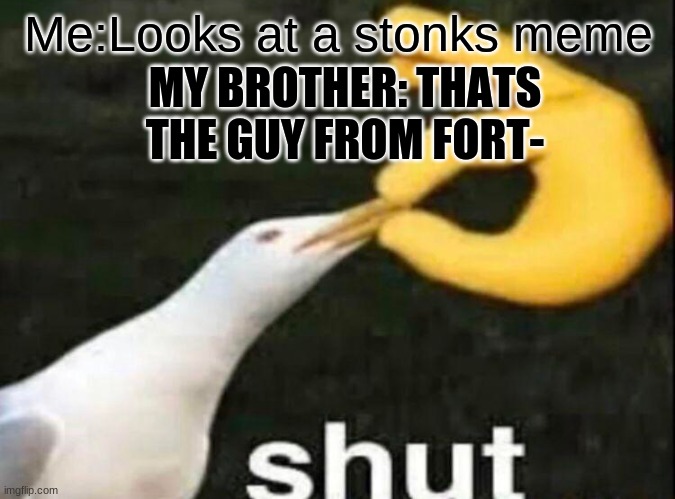 SHUT | Me:Looks at a stonks meme; MY BROTHER: THATS THE GUY FROM FORT- | image tagged in shut | made w/ Imgflip meme maker