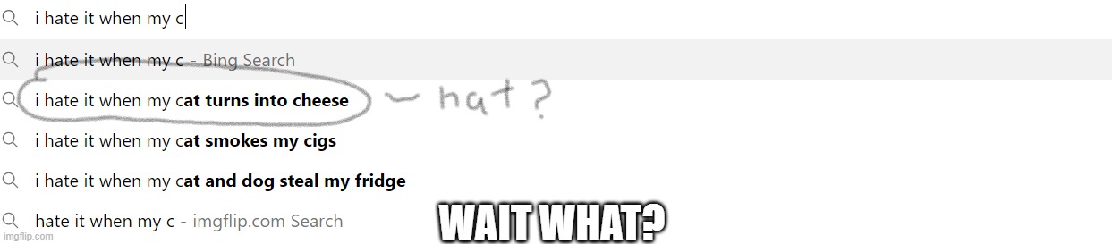wait.. someones cat turned into cheese? | WAIT WHAT? | image tagged in random,wait what | made w/ Imgflip meme maker
