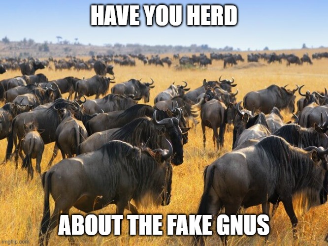 Herd of wildebeests gnus in Africa | HAVE YOU HERD; ABOUT THE FAKE GNUS | image tagged in herd of wildebeests gnus in africa | made w/ Imgflip meme maker