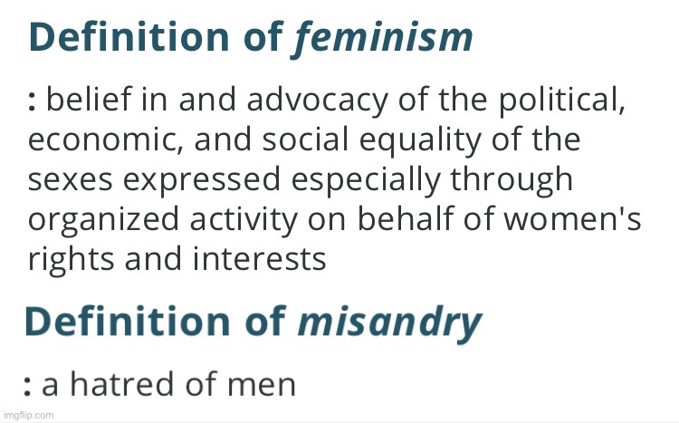 Guys, these definitions are completely different! And feminism doesn’t say anything about hating men! Now you know that feminism | image tagged in feminism,misandry,dictionary | made w/ Imgflip meme maker
