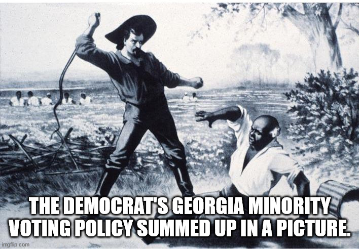 slave | THE DEMOCRAT'S GEORGIA MINORITY VOTING POLICY SUMMED UP IN A PICTURE. | image tagged in slave | made w/ Imgflip meme maker