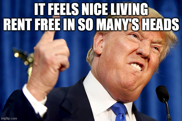 Donald Trump | IT FEELS NICE LIVING RENT FREE IN SO MANY'S HEADS | image tagged in donald trump | made w/ Imgflip meme maker