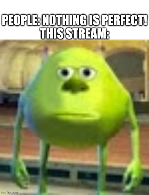 I know I'm right | PEOPLE: NOTHING IS PERFECT!
THIS STREAM: | image tagged in sully wazowski | made w/ Imgflip meme maker