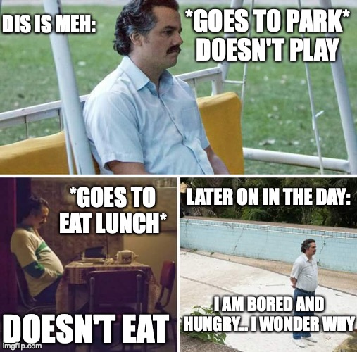Sad Pablo Escobar Meme | DIS IS MEH:; *GOES TO PARK*
DOESN'T PLAY; LATER ON IN THE DAY:; *GOES TO EAT LUNCH*; I AM BORED AND HUNGRY... I WONDER WHY; DOESN'T EAT | image tagged in memes,sad pablo escobar | made w/ Imgflip meme maker