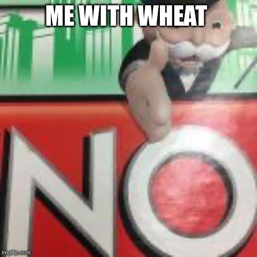 No | ME WITH WHEAT | image tagged in no | made w/ Imgflip meme maker