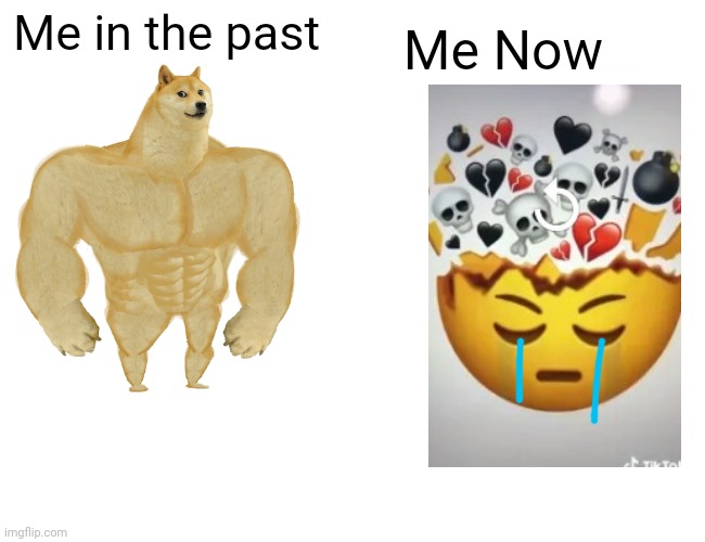 Depressed TwT | Me Now; Me in the past | image tagged in memes,buff doge vs cheems | made w/ Imgflip meme maker
