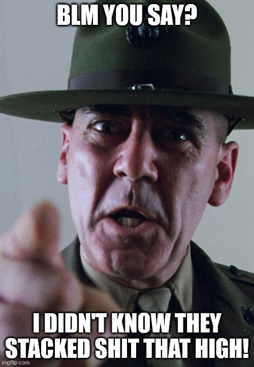 R lee ermey | BLM YOU SAY? I DIDN'T KNOW THEY STACKED SHIT THAT HIGH! | image tagged in r lee ermey | made w/ Imgflip meme maker