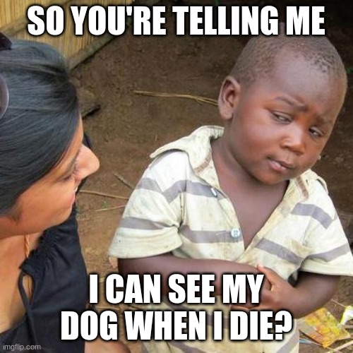 Third World Skeptical Kid Meme | SO YOU'RE TELLING ME I CAN SEE MY DOG WHEN I DIE? | image tagged in memes,third world skeptical kid | made w/ Imgflip meme maker