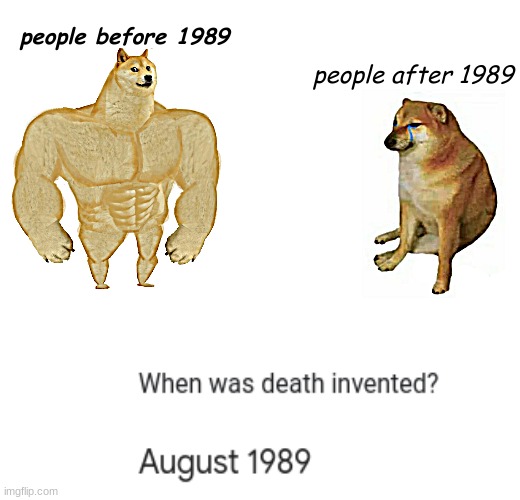 i n v i n c i b l e d o g e | people before 1989; people after 1989 | image tagged in memes,buff doge vs cheems | made w/ Imgflip meme maker