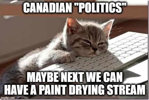 Bored Keyboard Cat | CANADIAN "POLITICS" MAYBE NEXT WE CAN HAVE A PAINT DRYING STREAM | image tagged in bored keyboard cat | made w/ Imgflip meme maker