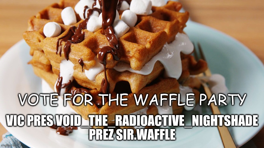 VOTE FOR THE WAFFLE PARTY; VIC PRES VOID_THE_RADIOACTIVE_NIGHTSHADE
PREZ SIR.WAFFLE | made w/ Imgflip meme maker
