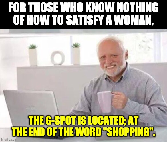 G-SPot | FOR THOSE WHO KNOW NOTHING OF HOW TO SATISFY A WOMAN, THE G-SPOT IS LOCATED; AT THE END OF THE WORD "SHOPPING". | image tagged in harold | made w/ Imgflip meme maker