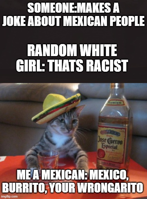 this might be a repost IDK | SOMEONE:MAKES A JOKE ABOUT MEXICAN PEOPLE; RANDOM WHITE GIRL: THATS RACIST; ME A MEXICAN: MEXICO, BURRITO, YOUR WRONGARITO | image tagged in memes | made w/ Imgflip meme maker