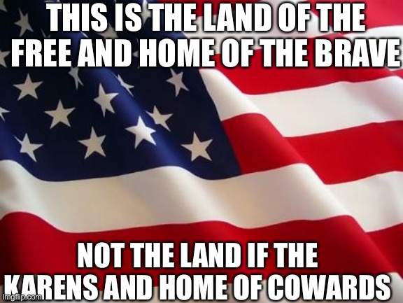 The problem with COVID restrictions | THIS IS THE LAND OF THE FREE AND HOME OF THE BRAVE; NOT THE LAND IF THE KARENS AND HOME OF COWARDS | image tagged in american flag | made w/ Imgflip meme maker