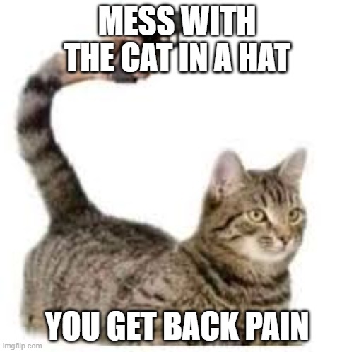 beware | MESS WITH THE CAT IN A HAT; YOU GET BACK PAIN | image tagged in meme,cat,gun,back pain | made w/ Imgflip meme maker