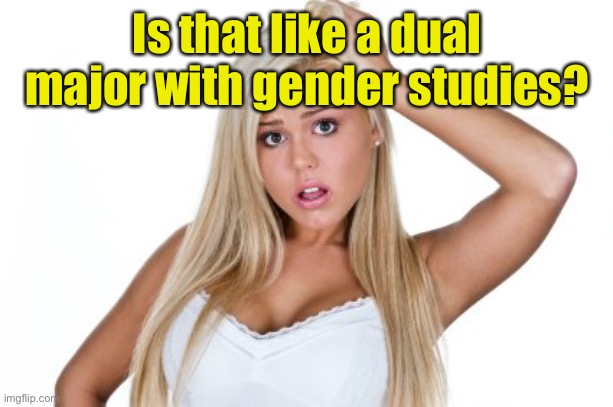 Dumb Blonde | Is that like a dual major with gender studies? | image tagged in dumb blonde | made w/ Imgflip meme maker