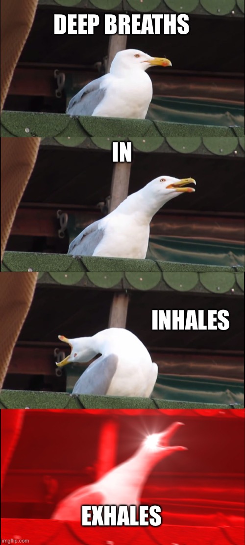 Inhaling Seagull | DEEP BREATHS; IN; INHALES; EXHALES | image tagged in memes,inhaling seagull | made w/ Imgflip meme maker