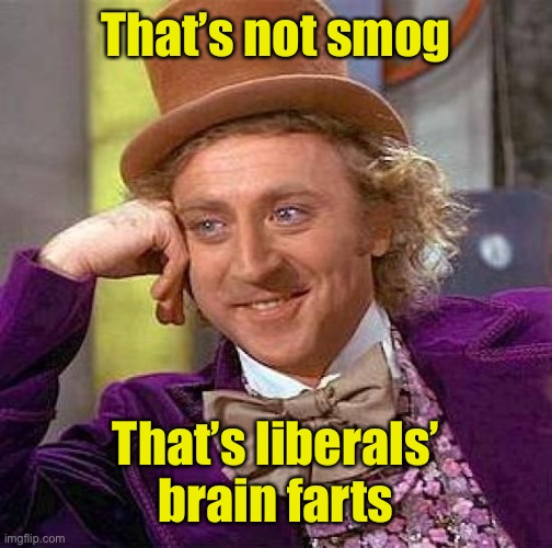 Creepy Condescending Wonka Meme | That’s not smog That’s liberals’ brain farts | image tagged in memes,creepy condescending wonka | made w/ Imgflip meme maker