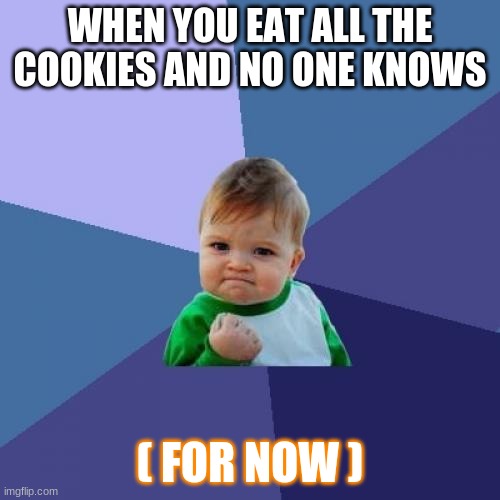 Success Kid Meme | WHEN YOU EAT ALL THE COOKIES AND NO ONE KNOWS; ( FOR NOW ) | image tagged in memes,success kid | made w/ Imgflip meme maker