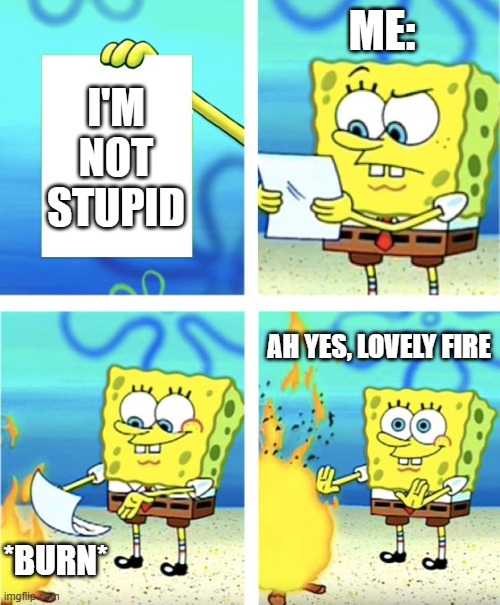 Spongebob Burning Paper | ME:; I'M NOT STUPID; AH YES, LOVELY FIRE; *BURN* | image tagged in spongebob burning paper,memes,so true memes | made w/ Imgflip meme maker