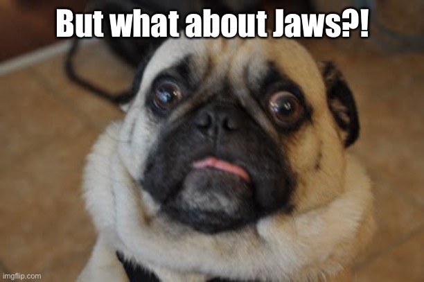 Pug worried | But what about Jaws?! | image tagged in pug worried | made w/ Imgflip meme maker