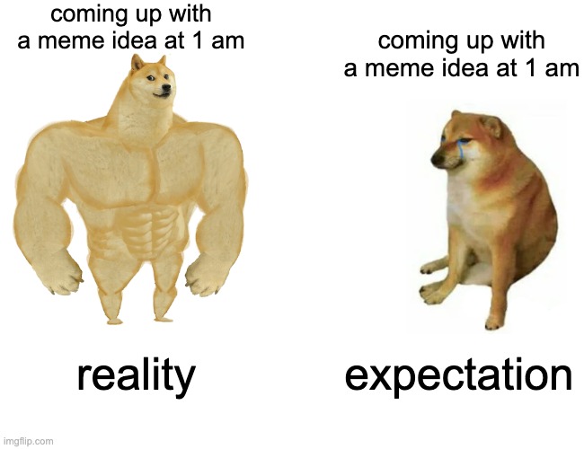 oop | coming up with a meme idea at 1 am; coming up with a meme idea at 1 am; reality; expectation | image tagged in memes,buff doge vs cheems | made w/ Imgflip meme maker