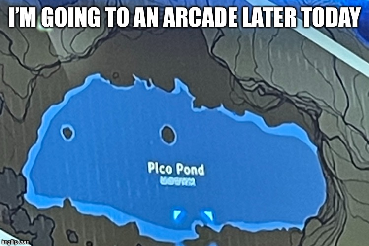 Pico pond | I’M GOING TO AN ARCADE LATER TODAY | image tagged in pico pond | made w/ Imgflip meme maker