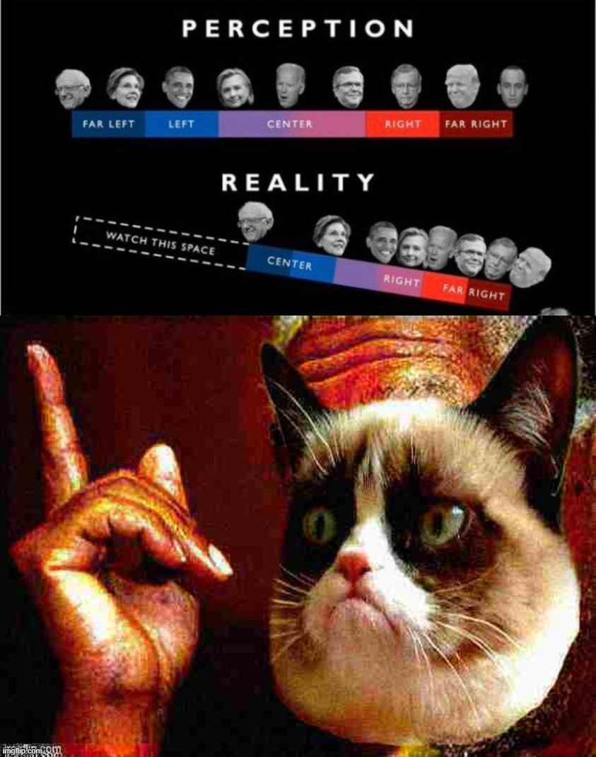 image tagged in american politics perception vs reality,morgan freeman cat he's right you know deep-fried 1,american politics,politics | made w/ Imgflip meme maker