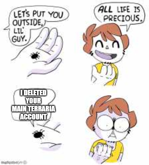 YOU, WHAT!?! | I DELETED YOUR MAIN TERRARIA ACCOUNT | image tagged in all life is precious | made w/ Imgflip meme maker