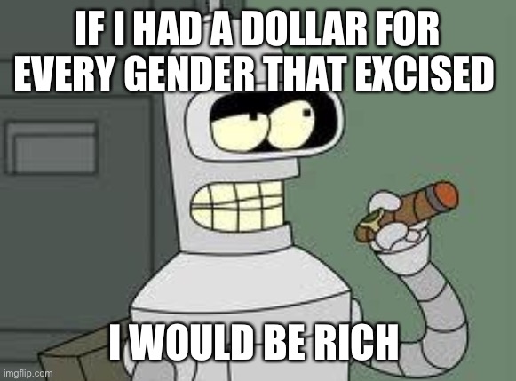 Bender | IF I HAD A DOLLAR FOR EVERY GENDER THAT EXCISED; I WOULD BE RICH | image tagged in rich,gender,money | made w/ Imgflip meme maker