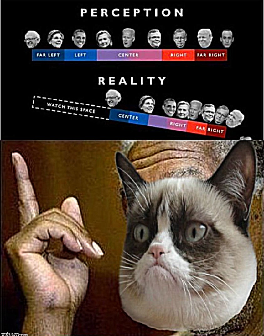 image tagged in american politics perception vs reality,morgan freeman cat he's right you know | made w/ Imgflip meme maker