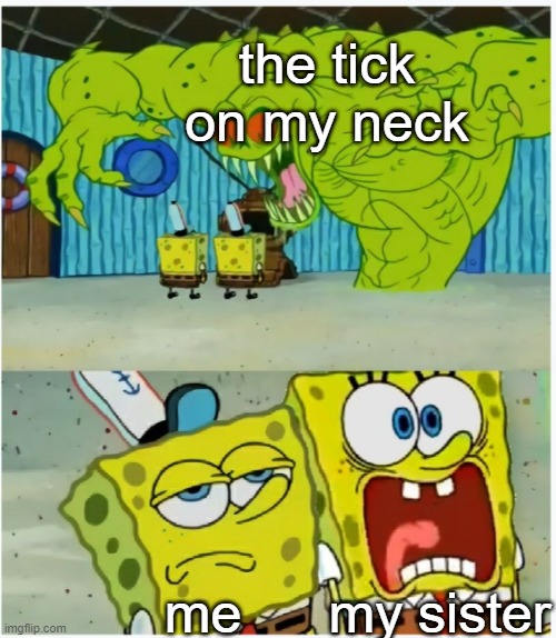 Love how she was freaking out even tho she wasn't the one infected XDD | the tick on my neck; my sister; me | image tagged in spongebob squarepants scared but also not scared | made w/ Imgflip meme maker