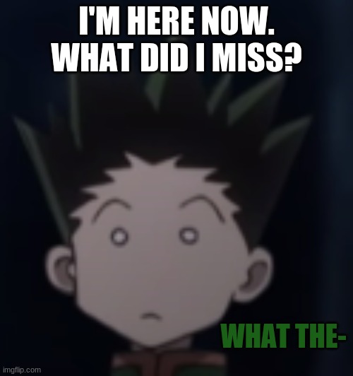 Gon what the- | I'M HERE NOW. WHAT DID I MISS? | image tagged in gon what the- | made w/ Imgflip meme maker