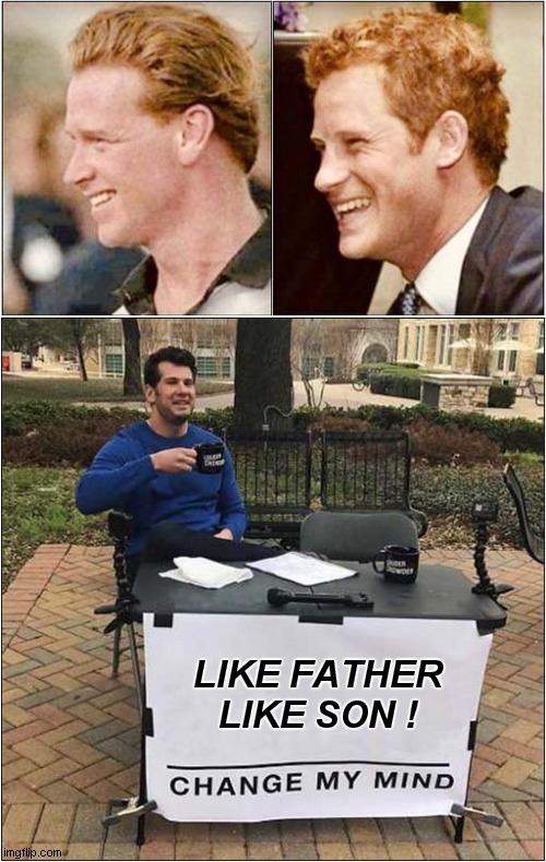 Family Resemblance Or What ! | LIKE FATHER
LIKE SON ! | image tagged in hewitt,prince harry,change my mind | made w/ Imgflip meme maker