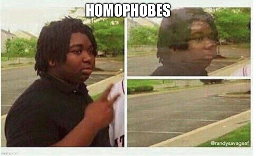 Black guy disappearing | HOMOPHOBES | image tagged in black guy disappearing | made w/ Imgflip meme maker