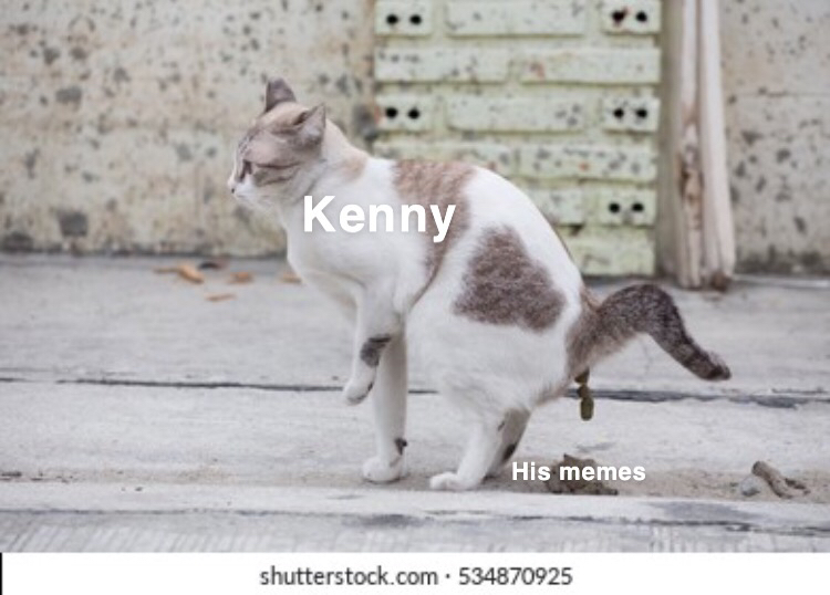 High Quality Cat poop Blank Meme Template