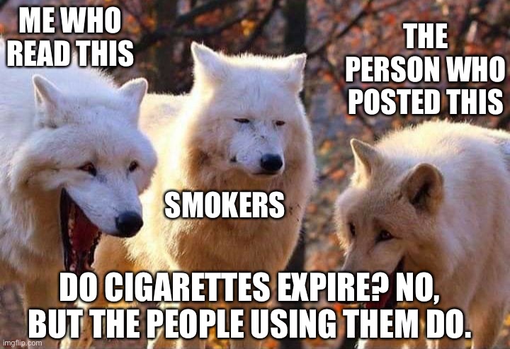 Dark Humor | ME WHO READ THIS; THE PERSON WHO POSTED THIS; SMOKERS; DO CIGARETTES EXPIRE? NO, BUT THE PEOPLE USING THEM DO. | image tagged in laughing wolf | made w/ Imgflip meme maker