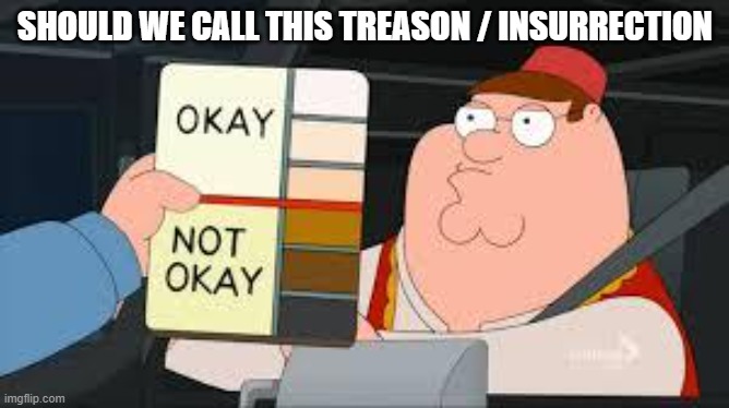 racist peter griffin family guy | SHOULD WE CALL THIS TREASON / INSURRECTION | image tagged in racist peter griffin family guy | made w/ Imgflip meme maker