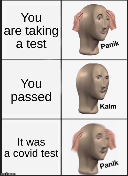 2020 meme | You are taking a test; You passed; It was a covid test | image tagged in memes,panik kalm panik | made w/ Imgflip meme maker