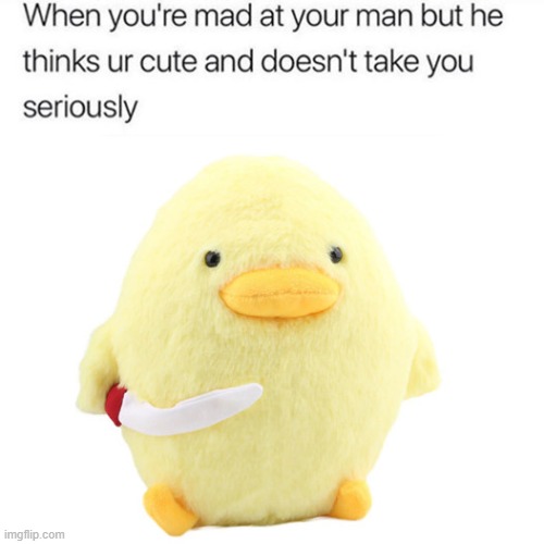 dawww she's gonna murder me | image tagged in mad,angry,duck,repost,plush,murder | made w/ Imgflip meme maker