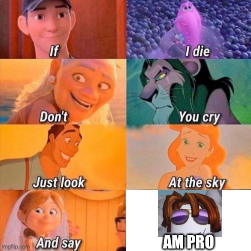 if i die don't you cry | AM PRO | image tagged in if i die don't you cry | made w/ Imgflip meme maker